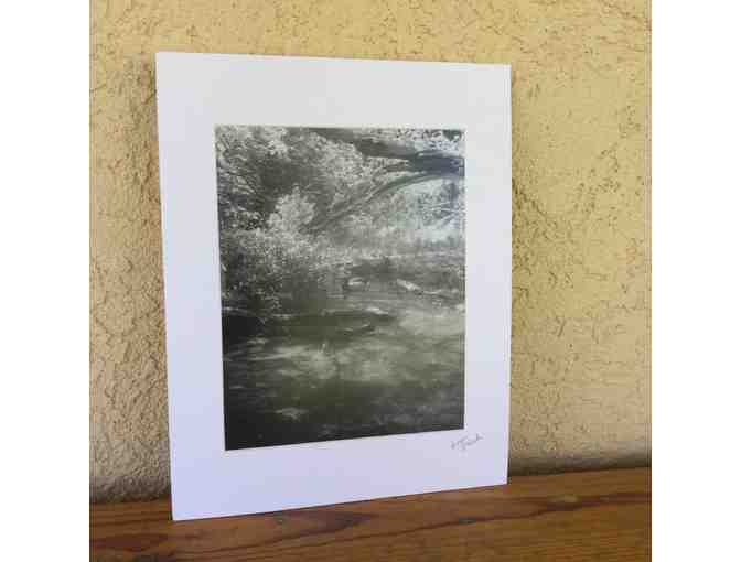 Wonderful 'Spring Stream' black & white photo print