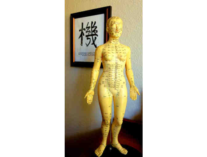 Acupuncture Consultaion and Treatment with Erin Prucha at Acupuncture Santa Rosa