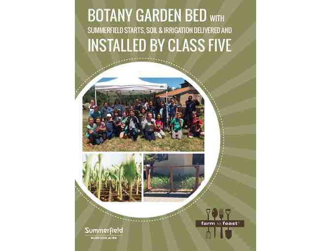 Botany Garden Bed with Summerfield Starts and Irrigation  - LIVE AUCTION!