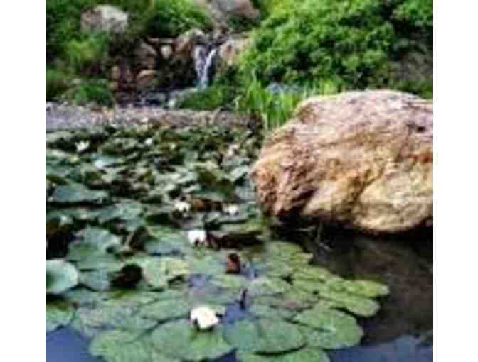 Botanical Garden Tour for 4 People at Quarryhill