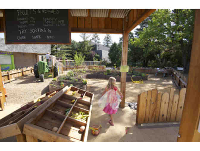 4 Fun Passes to the Children's Museum of Sonoma County