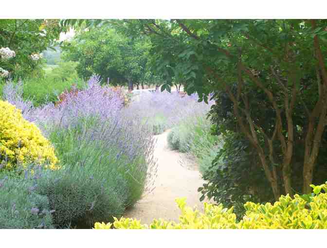 Allen Land Design Package