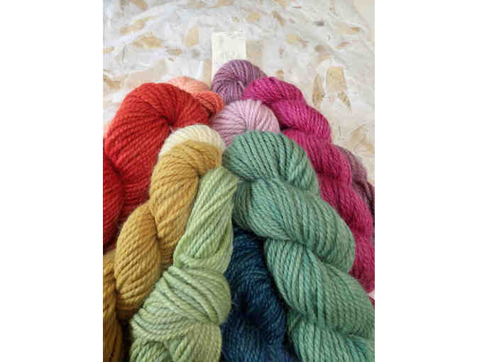 Plant Based Wool Dyeing Workshop with Summerfield's Lisa WIlde | Buy In Party