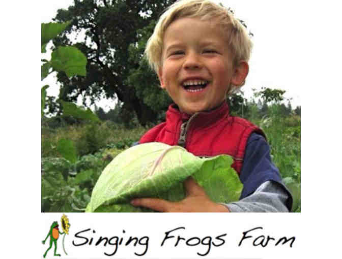 Four weekly CSA boxes of fresh, nutritious, locally grown produce from Singing Frogs Farm