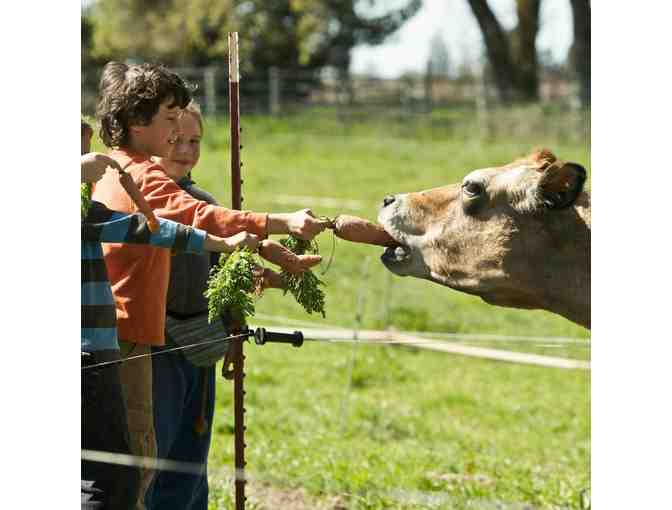 Breakfast on Summerfield's Farm for 2 Children