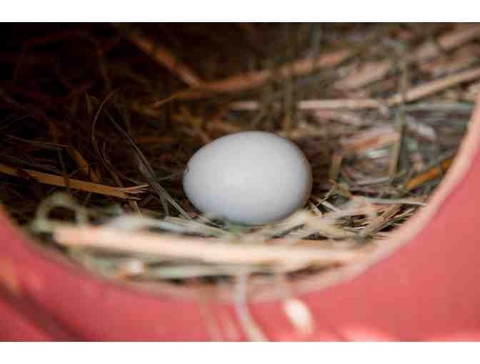 Breakfast on Summerfield's Farm for 2 Children