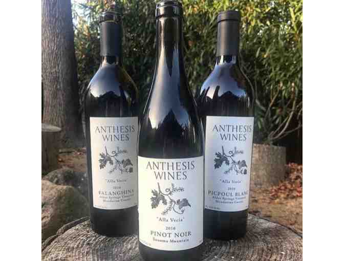 Anthesis Wines - $50 Gift Certificate - Photo 1