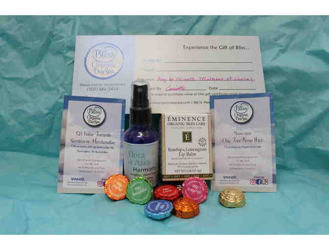 Bliss Organic Day Spa Package - Photo 1