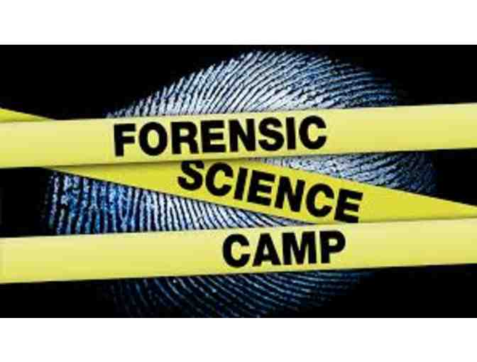 Forensic Science Summer Day Camp for kids!