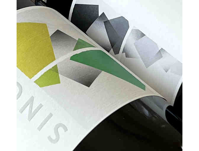 Wine and Olive Oil Tasting Package at Singer Wines