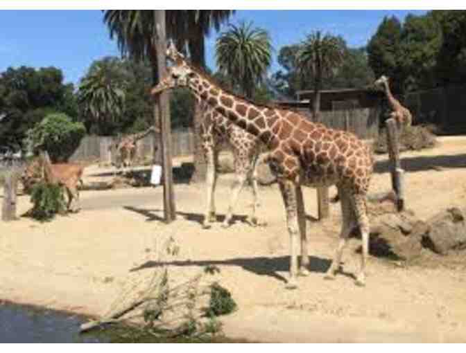 Family Pass to the Oakland Zoo