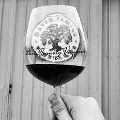 Davis Family Vineyard