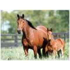 Yvette and Antonio Serrano