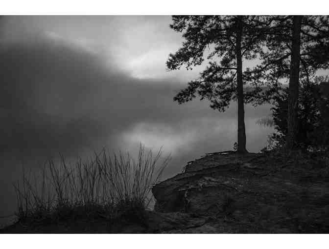 Arkansas Nature in Black and White