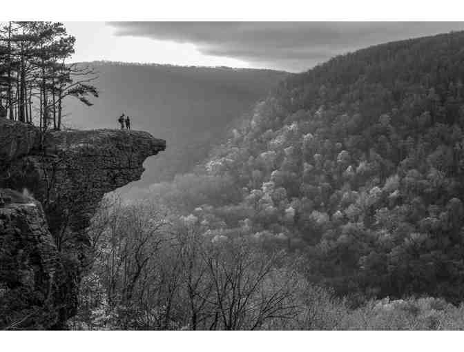 Arkansas Nature in Black and White