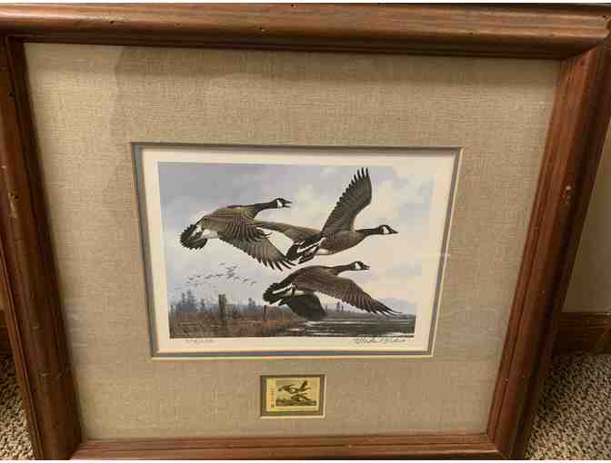 1984 Oregon Waterfowl Stamp/Print - Photo 1