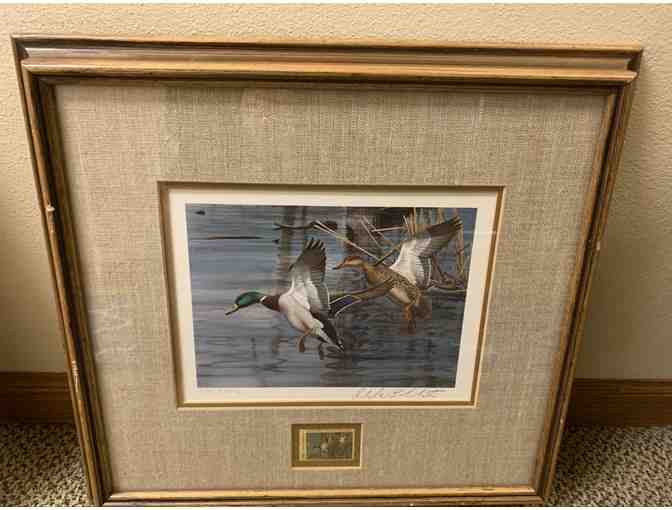 1983 North Carolina Waterfowl Conservation Stamp/Print - Photo 1