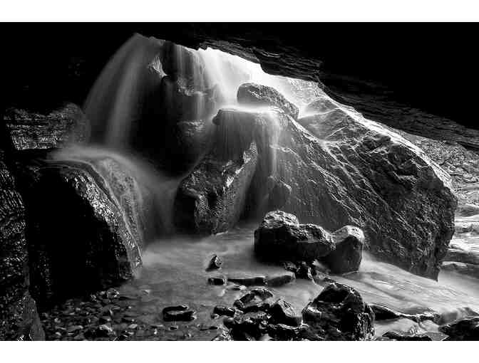 Arkansas Nature in Black and White