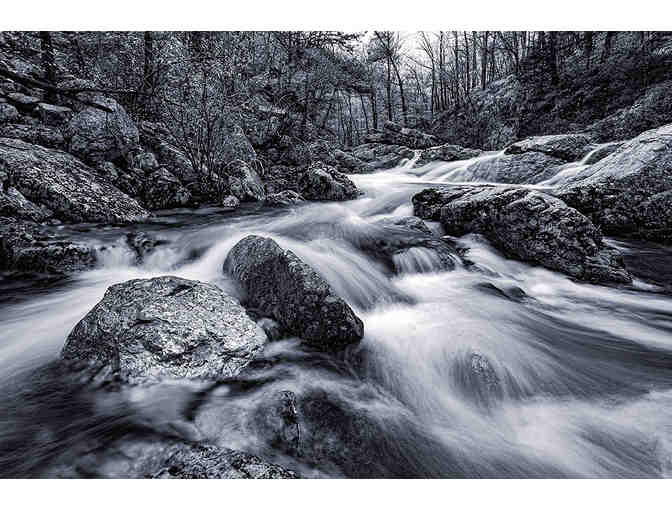 Scenes from the Ouachitas