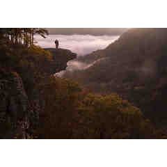 Ozark Light by Randy Wilson