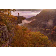 Ozark Light by Randy Wilson
