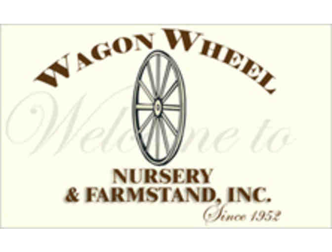 Wagon Wheel Farmstand and Nursery - $25 Gift Card plus homemade relish and jams