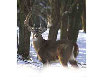 A Day of Whitetail Deer Hunting with FC Rotary President Charles Daniels.