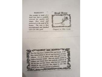 Real Rose 24k Gold Dipped