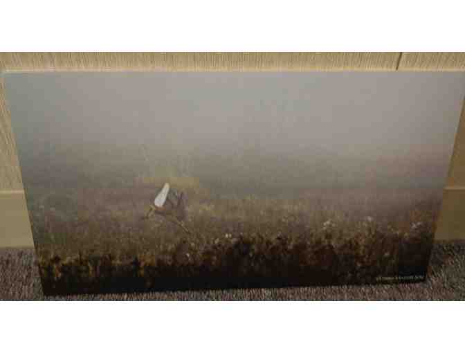 Steve Marett 'Foggy Spike' photo print