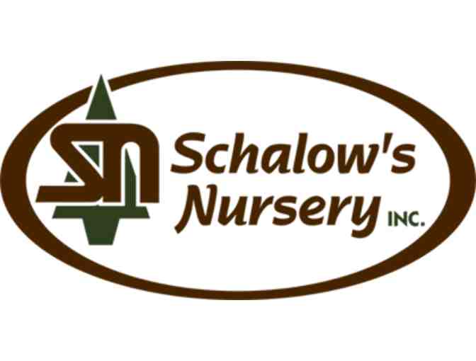 Schalow's Nursery Landscaping Package