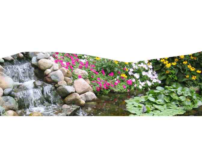 Schalow's Nursery Landscaping Package