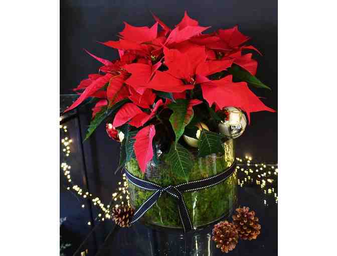 Jenny Burke Christmas Flowers or Wreath- $150