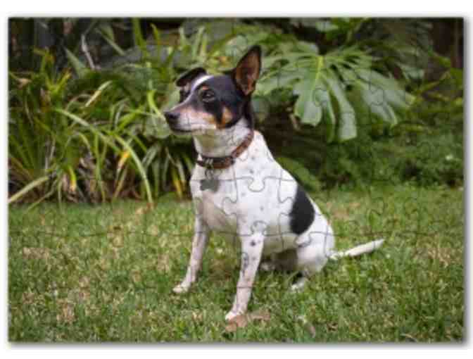 1000 Piece Personalised Jigsaw- voucher