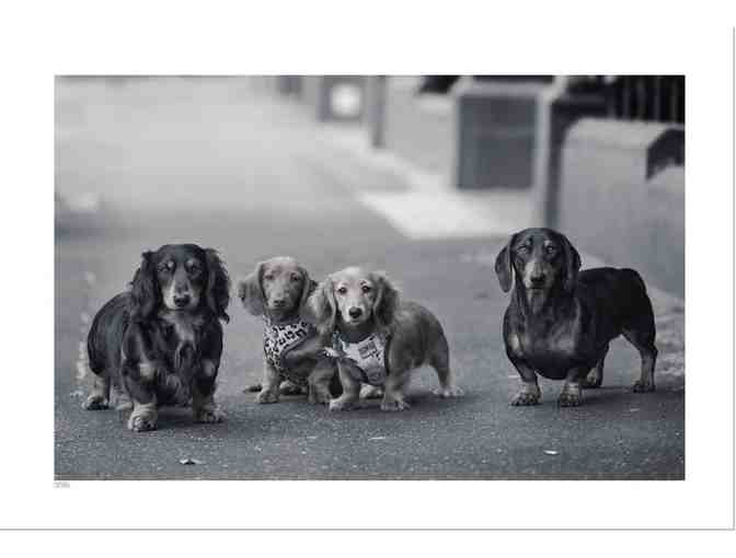 Tilnak Fine Art Photography Package