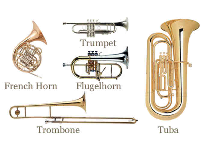 Music Lessons- Eight (8) Low Brass Instrument Lessons- Trombone, tuba, baritone, euphonium