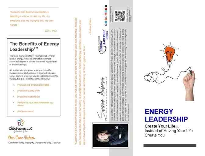 Energy Leadership Assessment & 1hr Debrief Session