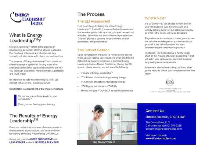 Energy Leadership Assessment & 1hr Debrief Session