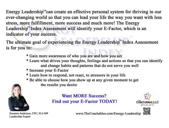 Energy Leadership Assessment & 1hr Debrief Session