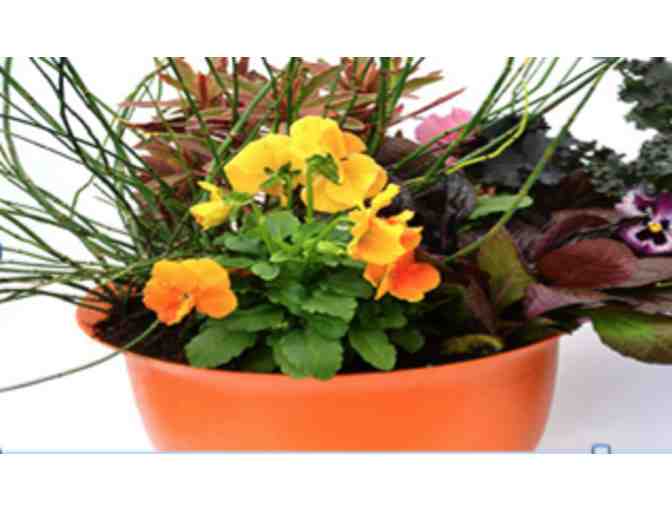Brookside Garden Center, Chaska - A Spring Potting Party!!!