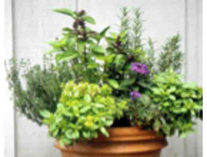 Brookside Garden Center, Chaska - A Spring Potting Party!!!