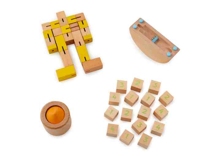 STEM puzzle Set