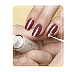 Empire Beauty School