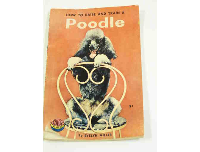 Collectible for a Poodle Lover