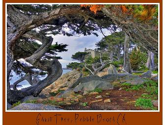 Sticks at Pebble Beach  - Spanish Bay - Lunch for 2