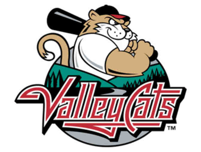 A Luxury Suite & Ceremonial Pitch  at a Tri-City ValleyCats Home Game