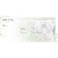 Strike A Pose Photography