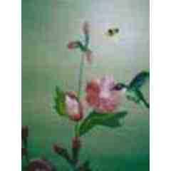 Creative Quarters - Murals on the Move