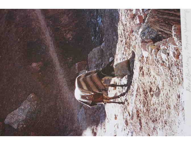 Luke Powell Inkjet Framed Print