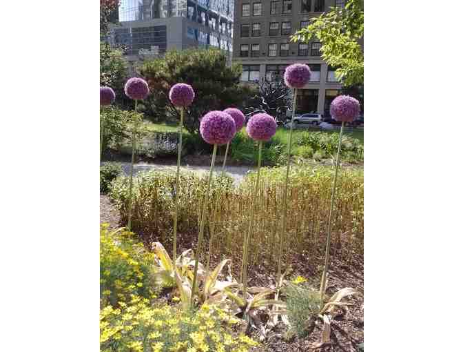 Behind the Scenes Tour of Rose F. Kennedy Greenway