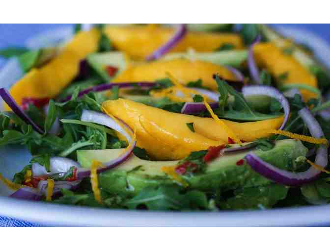 A New Life is Yours with Help from Certified Holistic Health Coach and author Kelly Kurtz